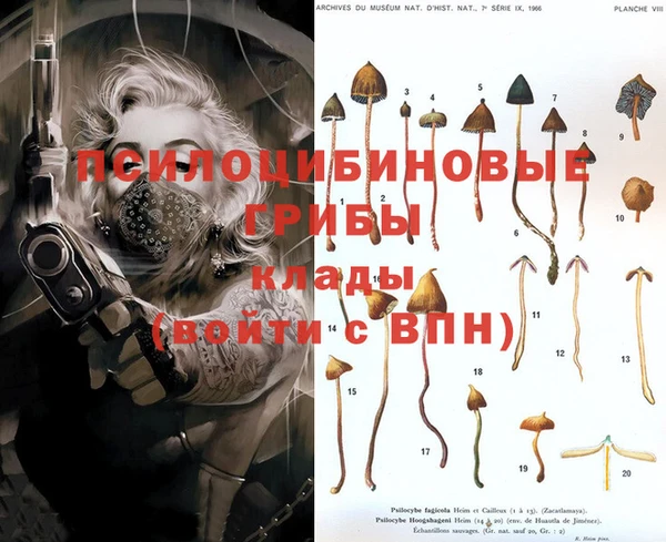 jwh Куйбышев