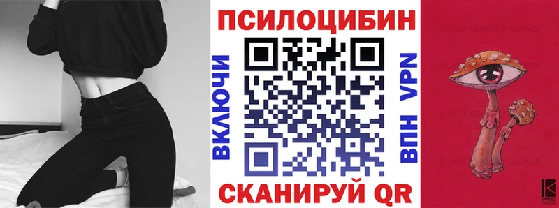 Галлюциногенные грибы Psilocybe  Южа 