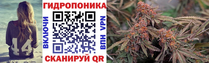закладки  Южа  kraken онион  Марихуана индика 